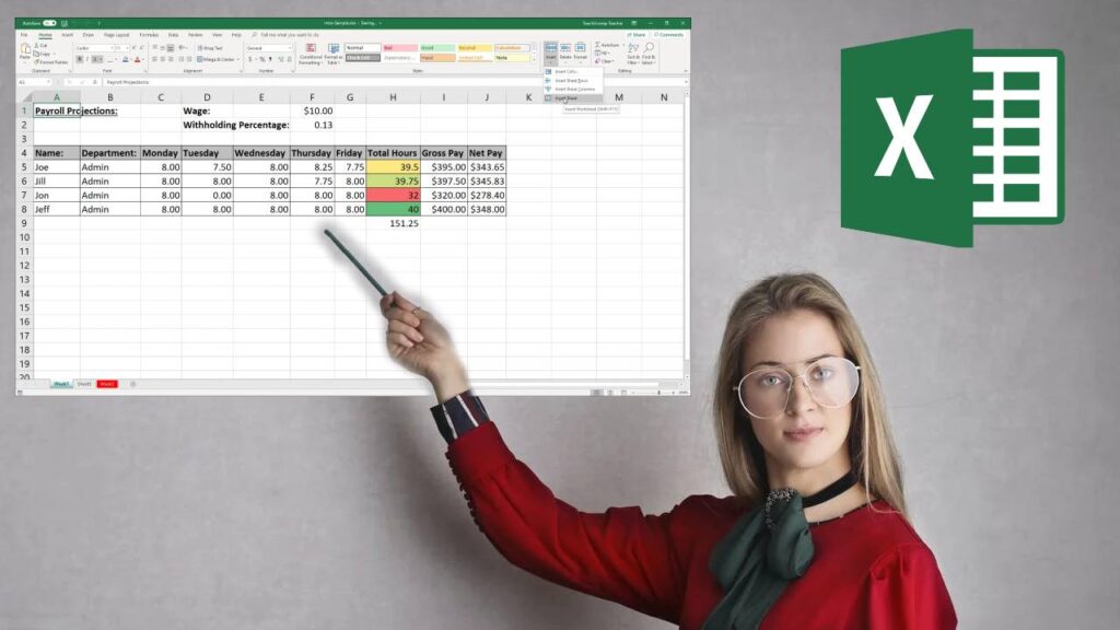 Clases de Excel presenciales remotas individuales